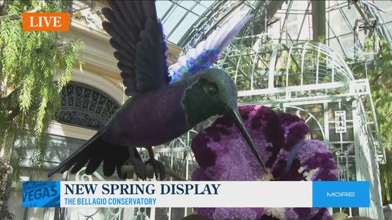 Bellagio celebrates spring with its new conservatory display