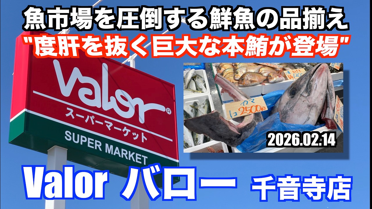 【Valor バロー 千音寺店 度肝を抜く巨大な本鮪が登場 魚市場を圧倒する鮮魚の品揃え】あばお 海鮮ちゃんねる #459 2026.02.14