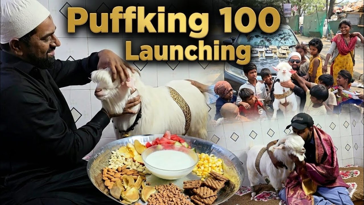 History Created By Avim Bhai | Launching Puffking 100 | Bantam Full Journey With Celebration.