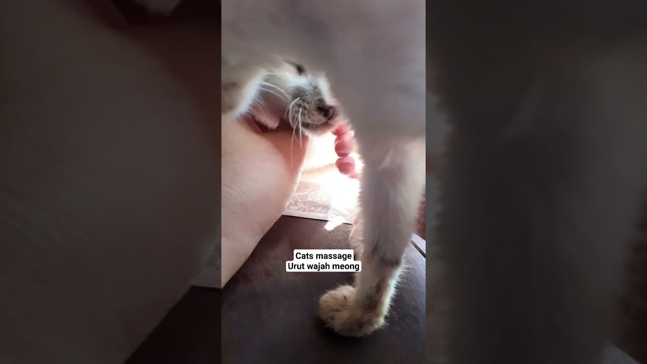 cara membahagiakan 