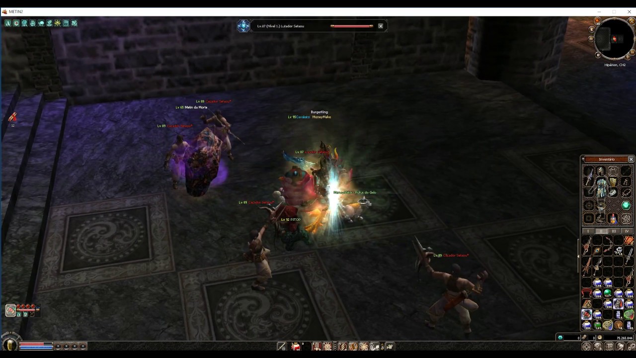 METIN 2 PT LVL 95 Equipes GRUTA