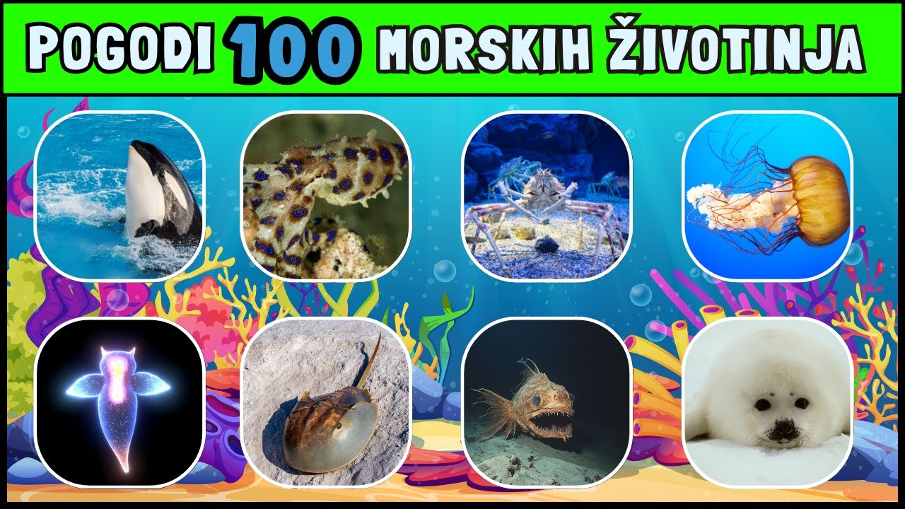 🌊 POGODI 100 MORSKIH ŽIVOTINJA! 🐠🦈🐙