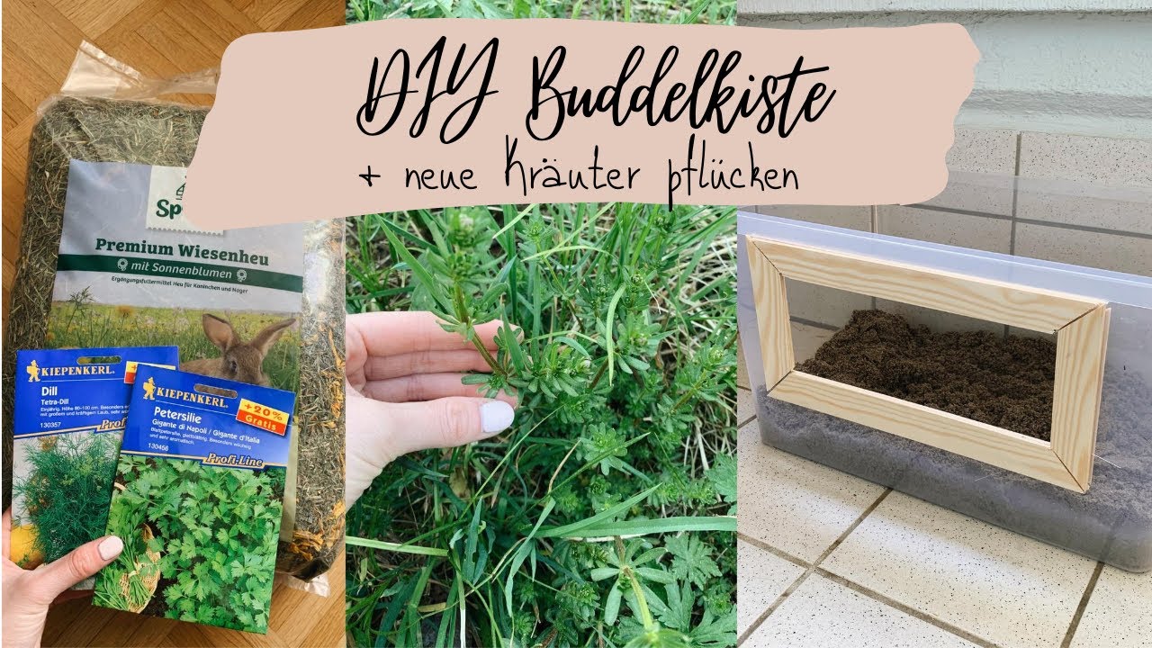 DIY - Buddelkiste für Kaninchen + Hagebaumarkt HAUL