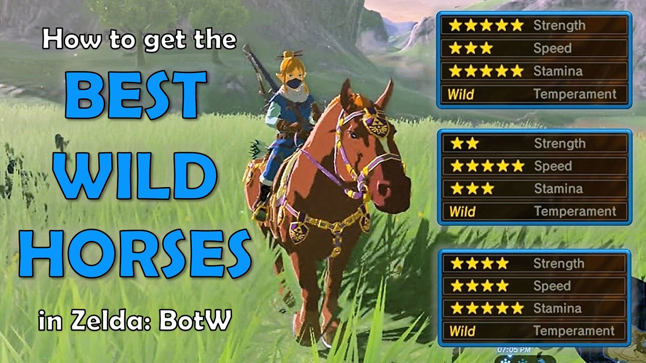 How to get the BEST WILD HORSES in Zelda: Breath of the Wild (NO AMIIBO)!