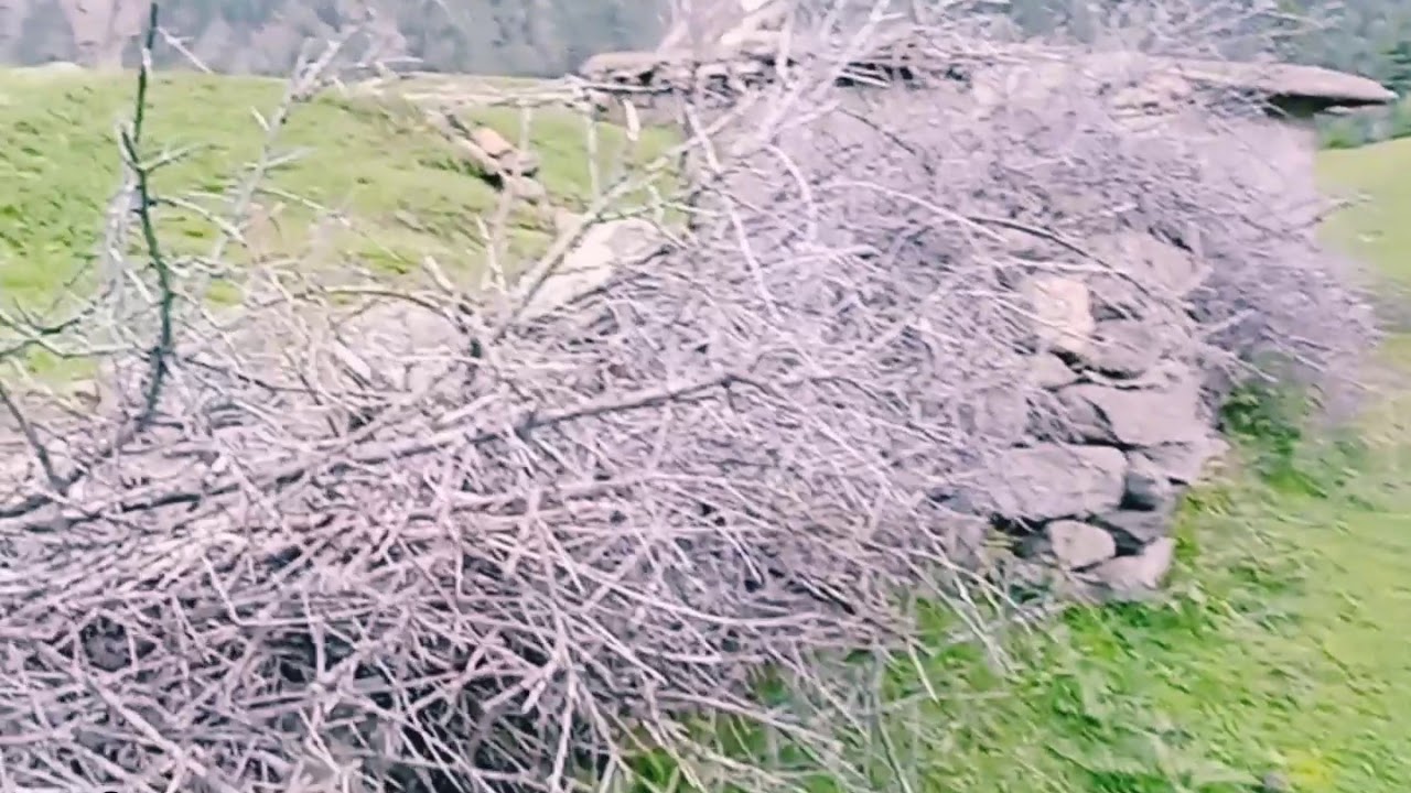 Astore Rama Valley