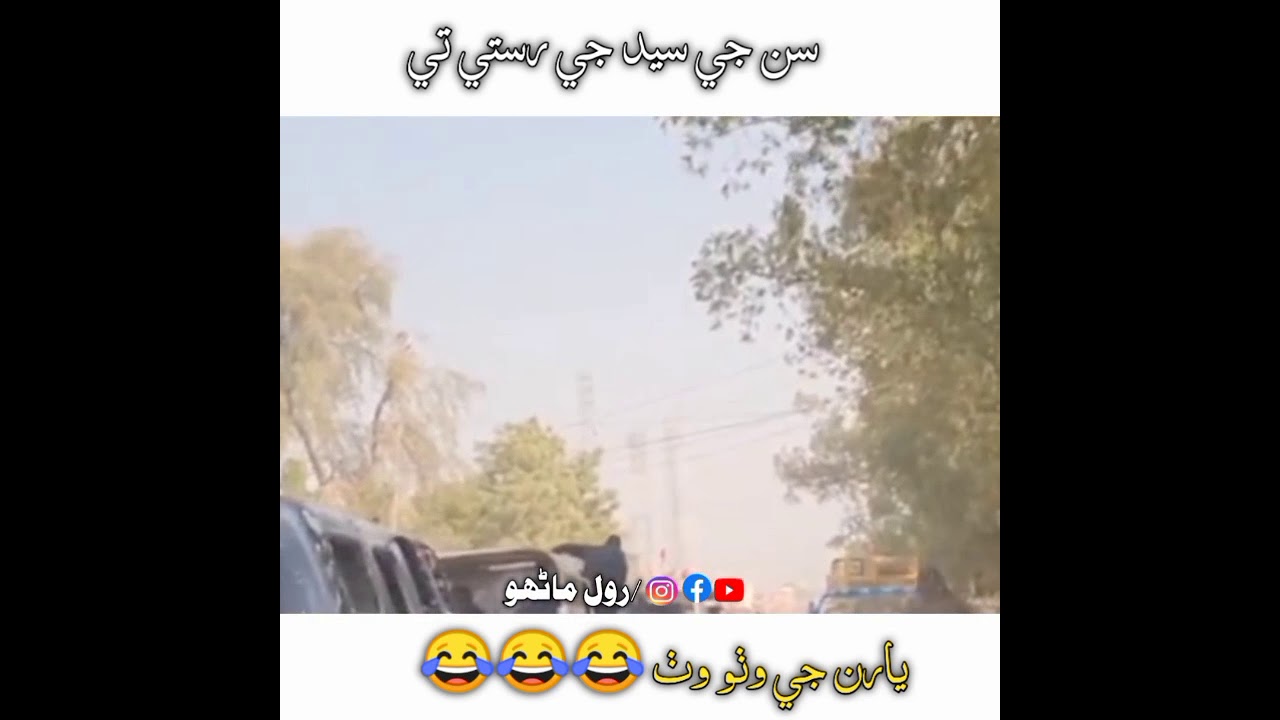 سائين جي ايم سيد جي سالگرهه جي موقعي تي سرخ سلام پيش ڪريون ٿا