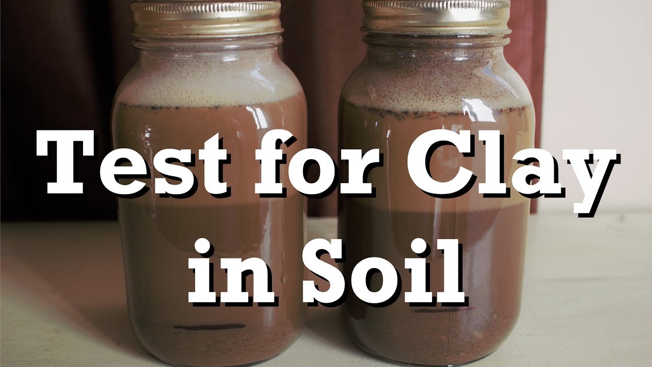 Test for Clay in Soil
