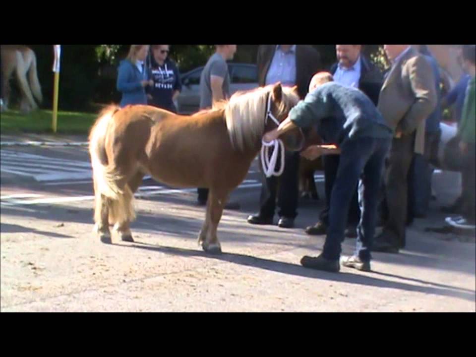 Keuring Oosteeklo 14 september 2015
