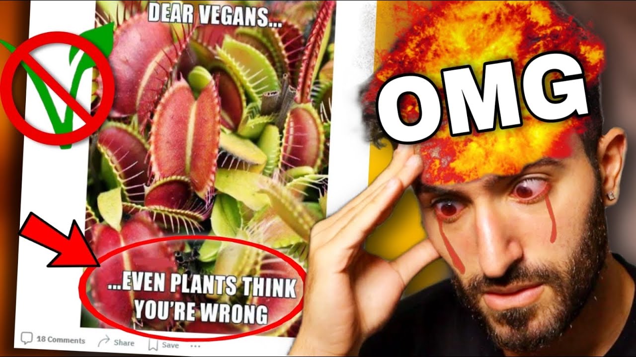 ANTI-VEGANS CAN&rsquo;T MEME | Cringing at Anti-Vegan &ldquo;Memes&rdquo;