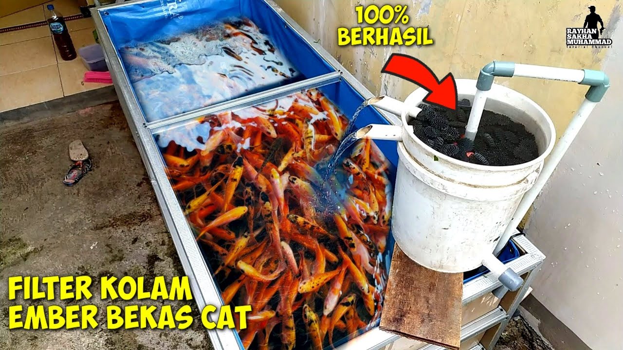 DIY Filter kolam ikan dari ember cat bekas