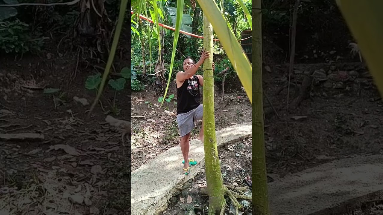 ayaw Kona dito hinde na maganda ginagawa ninyo #baysoktv