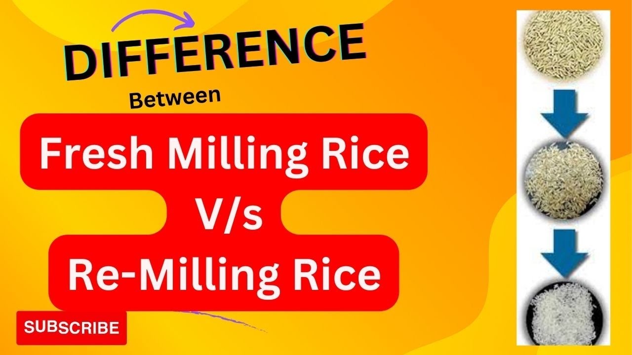 Unveiling the Secrets: Fresh Milling vs. Re-Milling Rice Explained | Bhudev Global I