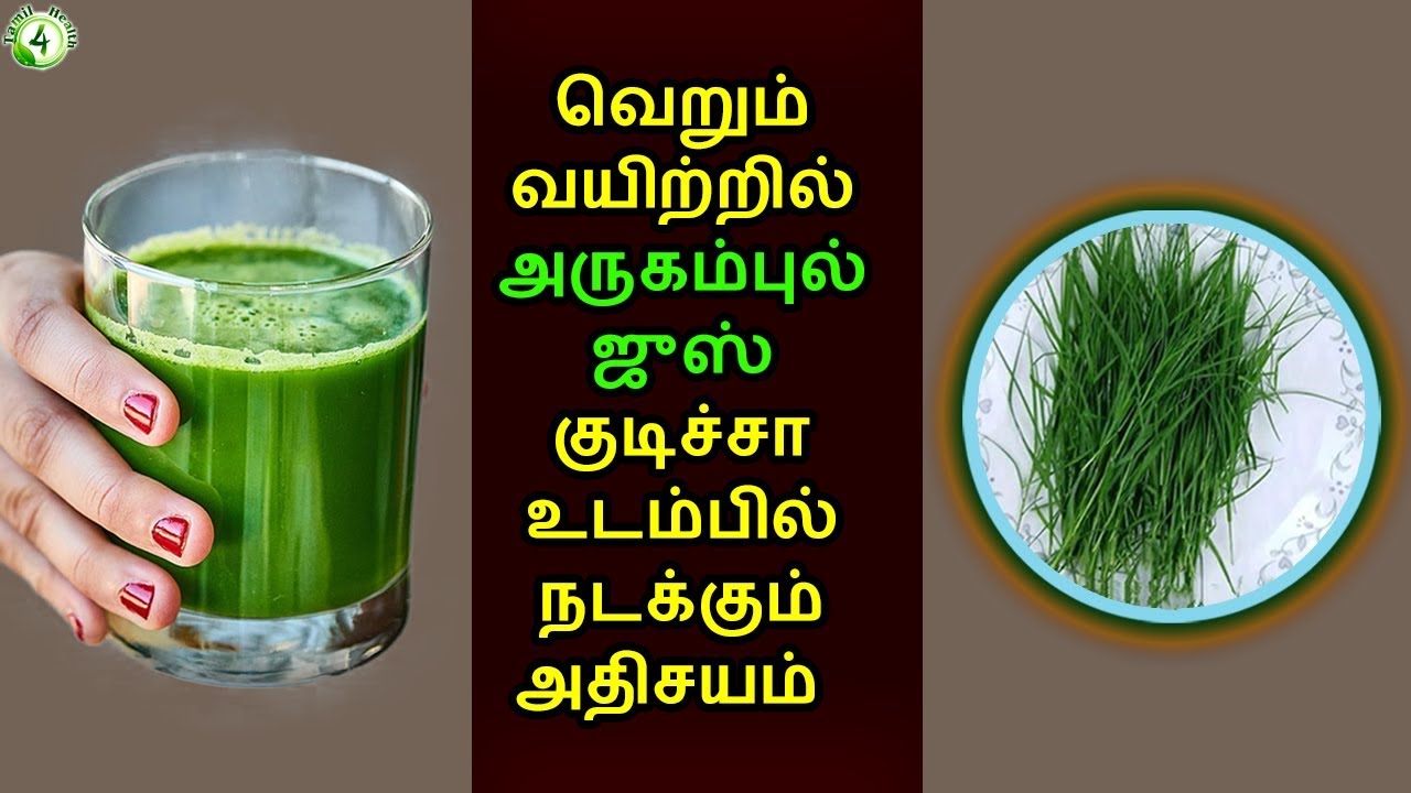 வெறும் வயிற்றில் அருகம்புல் ஜுஸ் குடிச்சா உடம்பில் நடக்கும் அதிசயம்  | Arugampul juice
