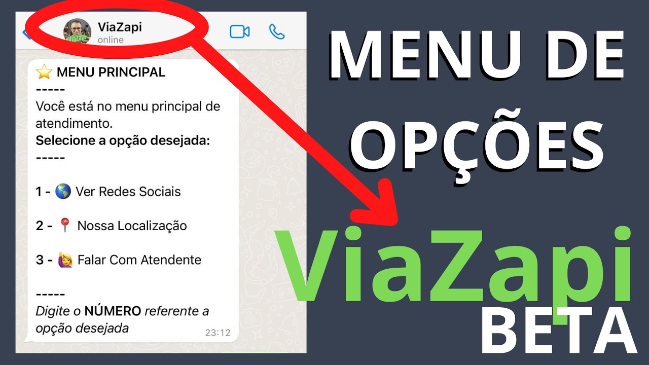 Respostas Para WhatsApp - Demonstração Rápida Das Funcionalidades Da ViaZapi