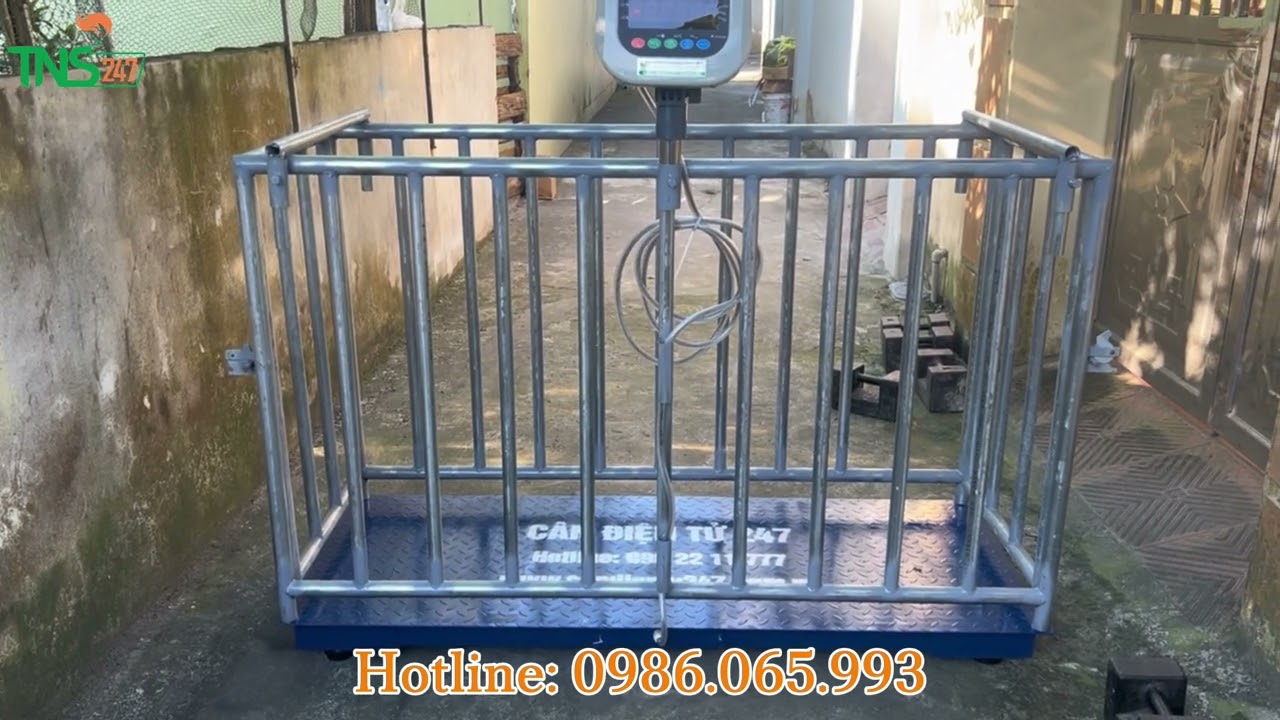 Hướng dẫn sử dụng cân lồng heo 500kg 1 tấn 2 tấn 3 tấn - Đầu cân HP 501 chốt số động vật chính xác