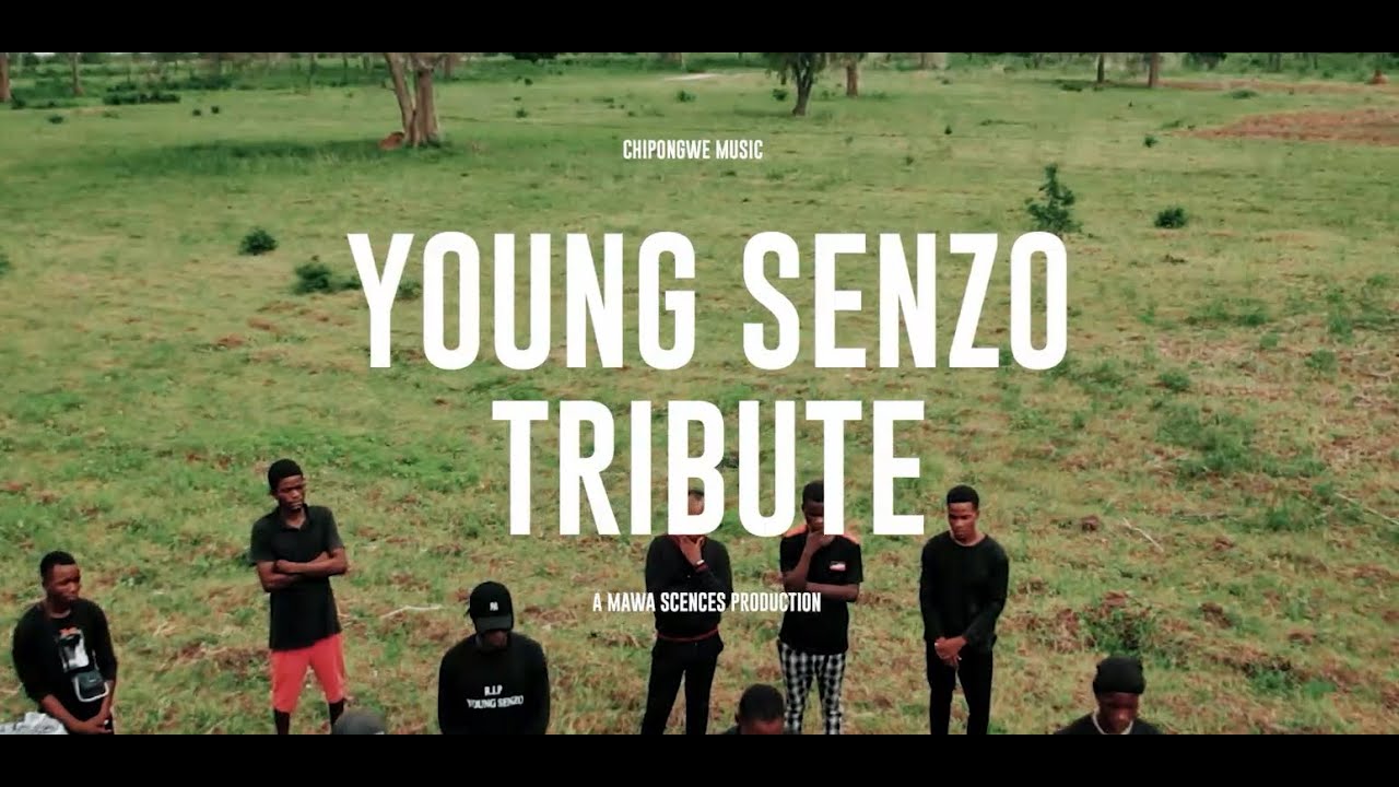 Young Senzo Tribute - Golomoti various Artists