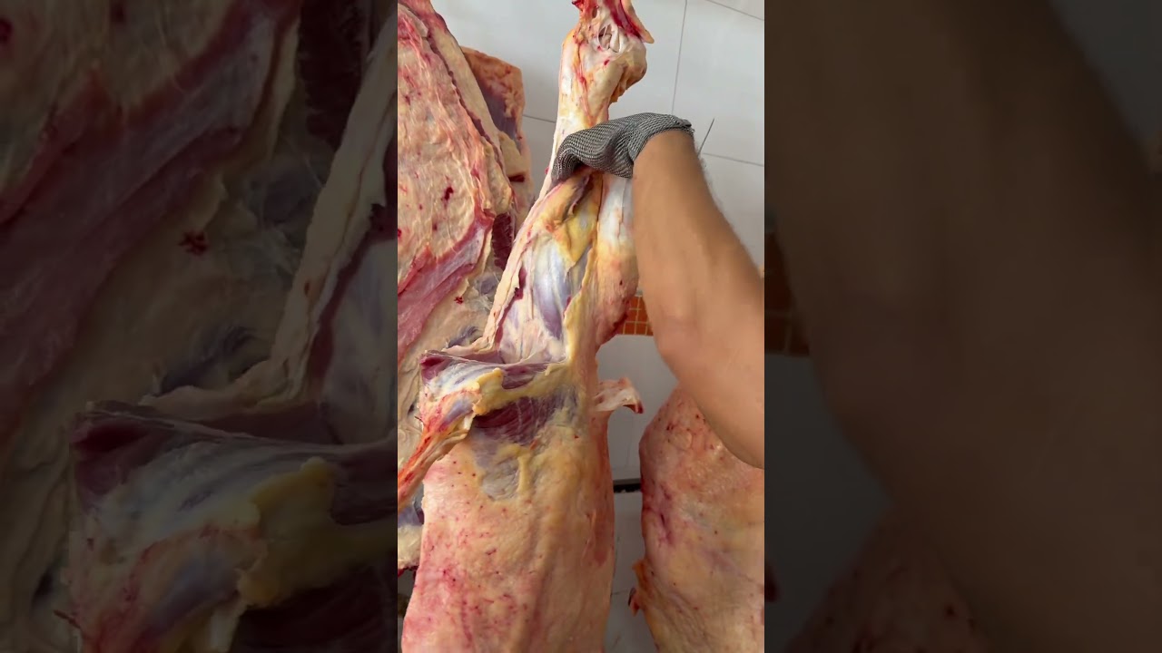 Desossa de carnes. Desossa em a&ccedil;ougue. Desossa em frigor&iacute;fico. Como desossar um boi. #carnes