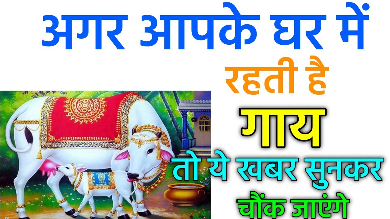 Vastu Tips || घर में गाय पालने के फायदे जानकर चौंक जाएंगे