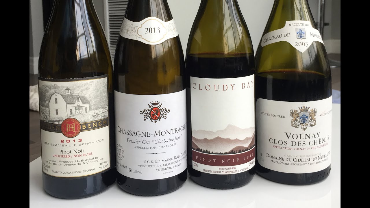 EP 001: Pinot Noir Tasting