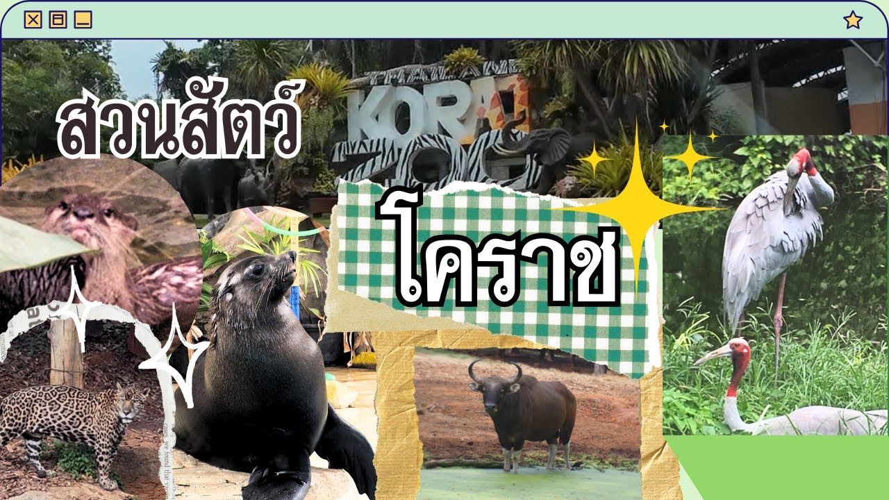 Vlog สวนสัตว์โคราช 2025 | ไปดูเสือ ดูช้าง ดูนาก ดูแมวน้ำกันน~ 🦭✨•ᴗ• | #สวนสัตว์โคราช 
