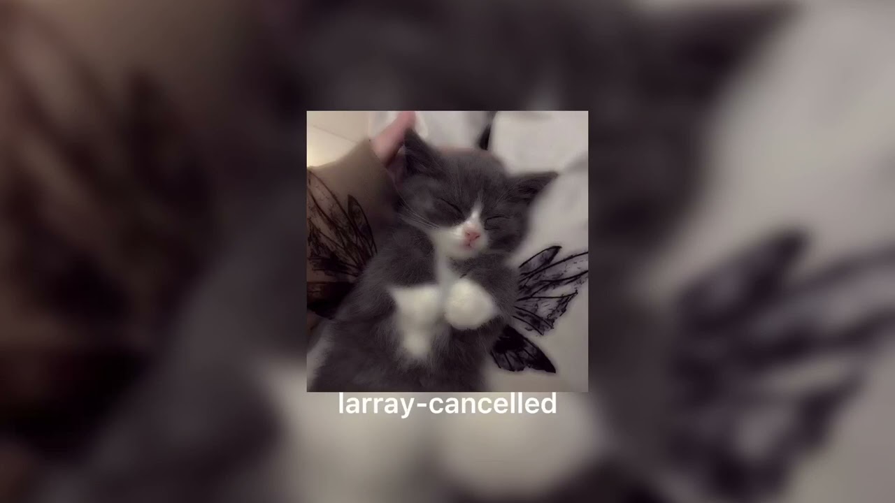larray-cancelled | speed up |