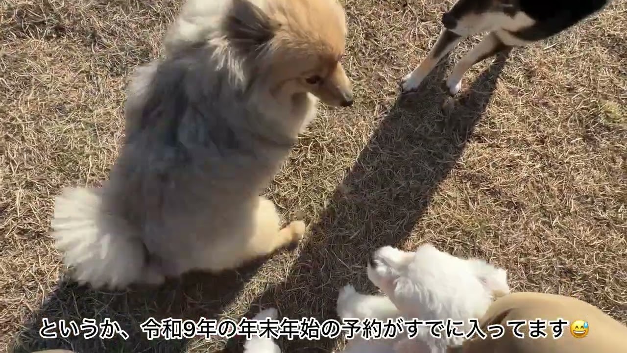 今年は大変お世話になりました。来年もまた宜しくお願い致します。