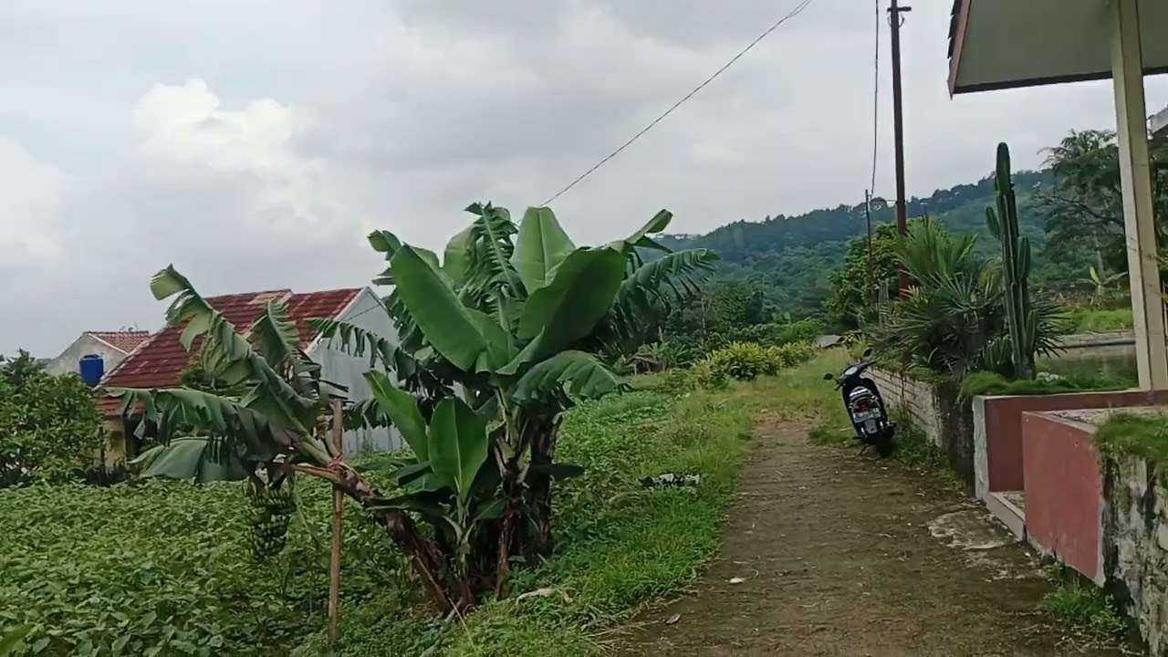 JUAL RUMAH DAN kOLAM Di TENJOLAYA BOGOR