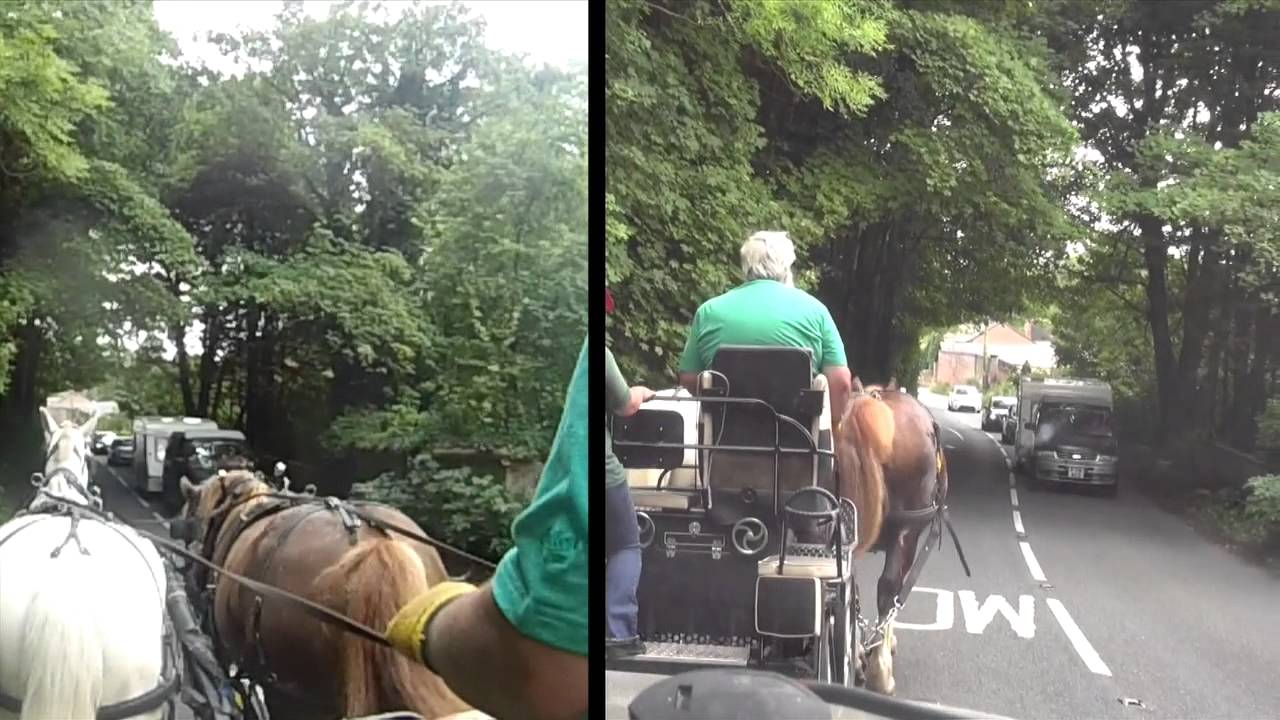 Traffic problems - driver and horse confidence.