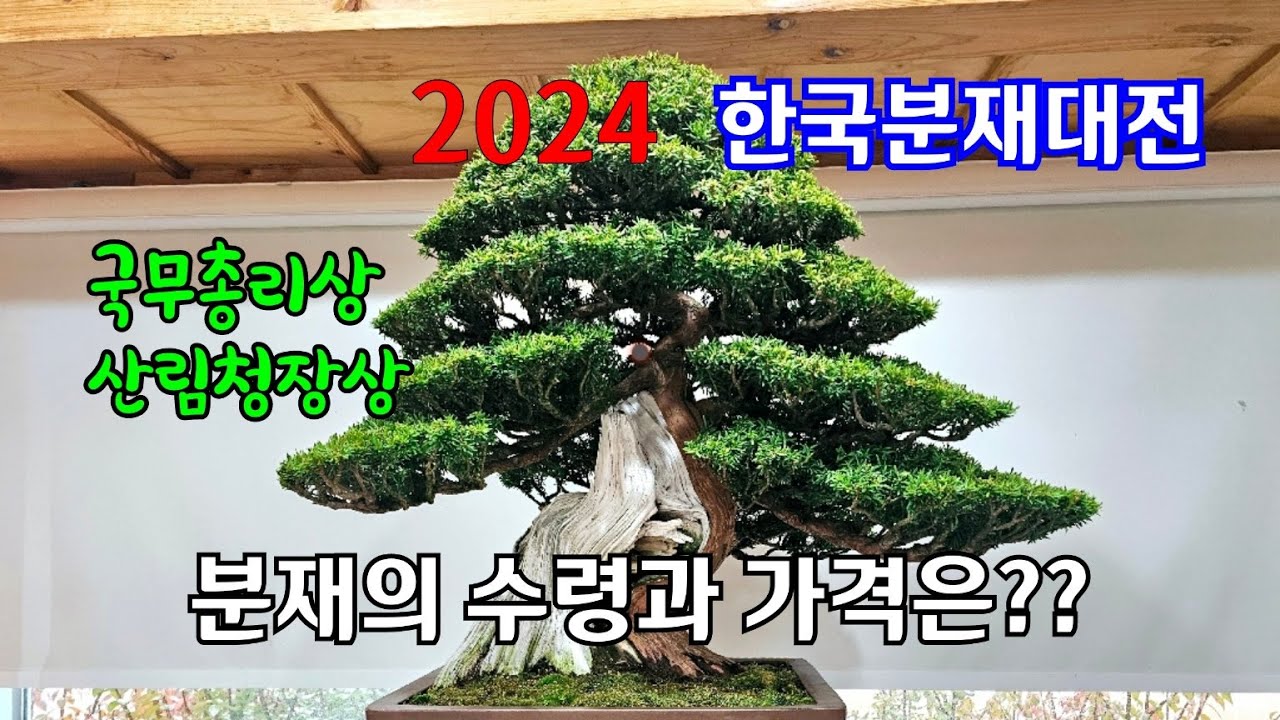 2024 한국분재대전, 분재의 수령과 가격은??