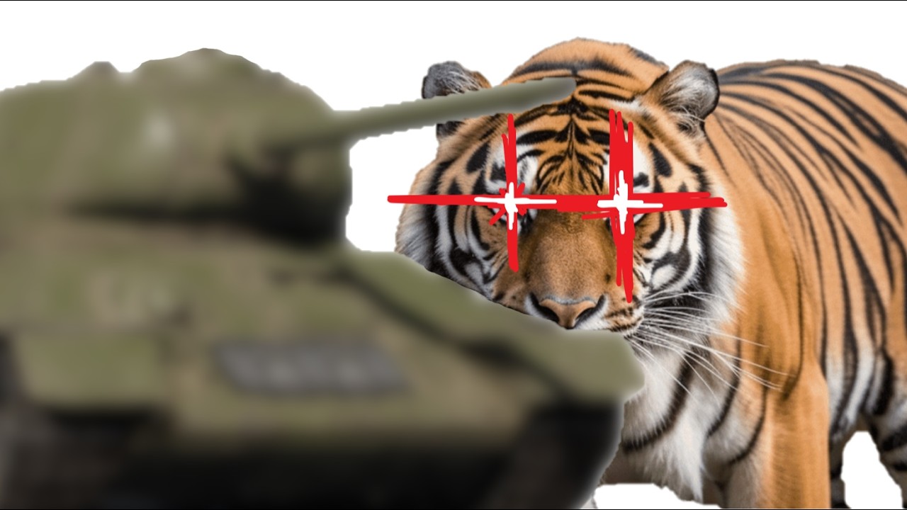 [워썬더] 어흥