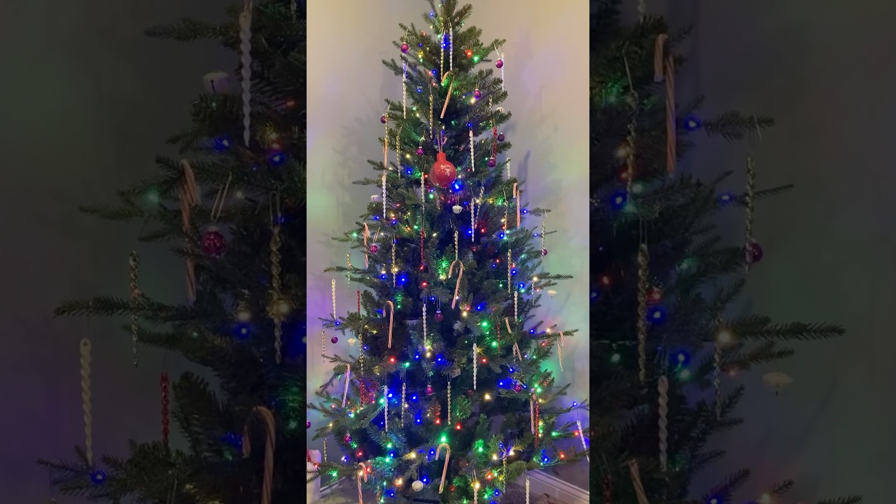 Merry Christmas from me to you!! #buchdup #christmastree #christmas #holiday