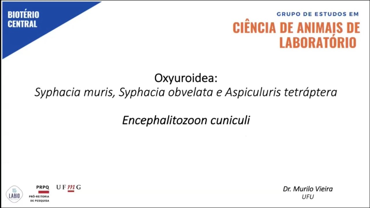 Oxyuroidea: Syphacia muris, Syphacia obvelata e Aspiculuris tetráptera / Encephalitozoon cuniculi