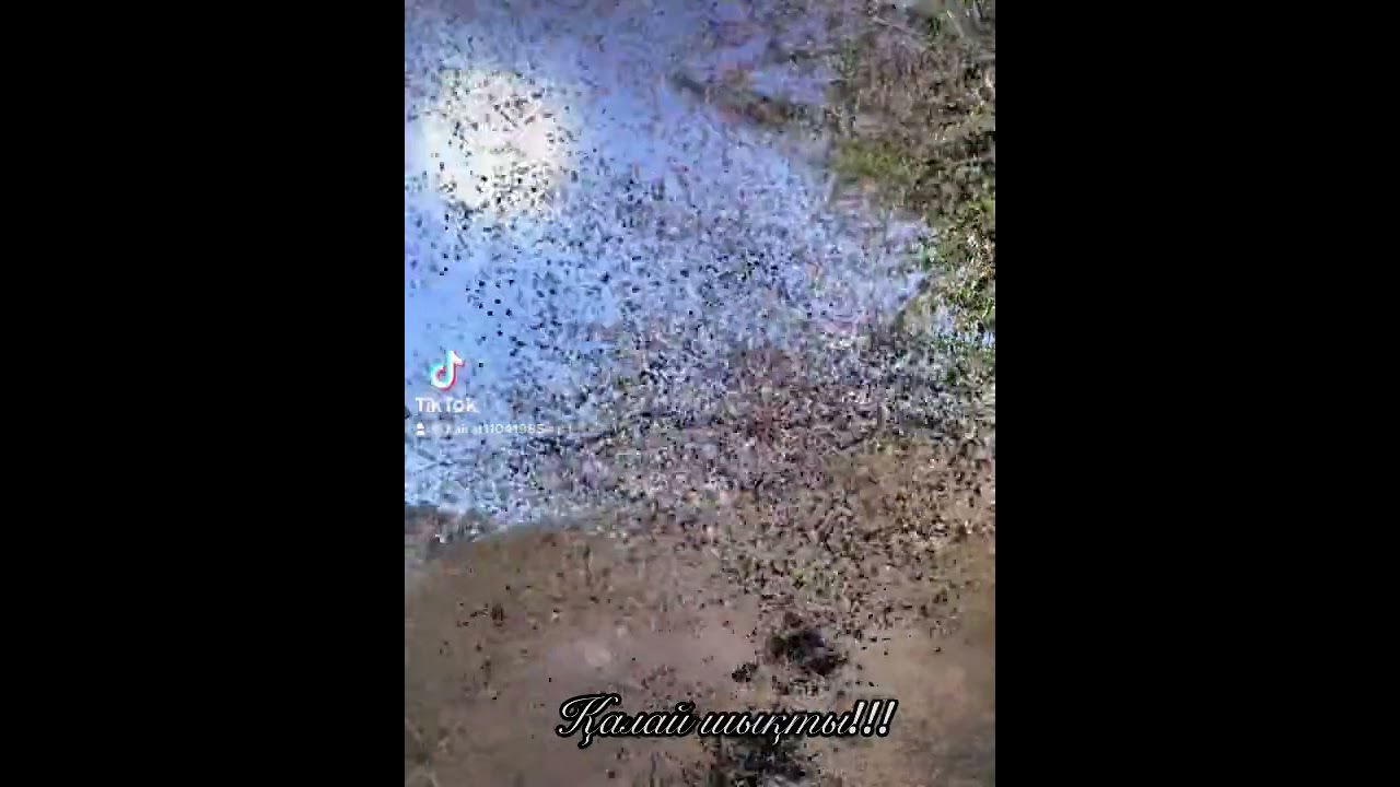 Город Нукус!!!