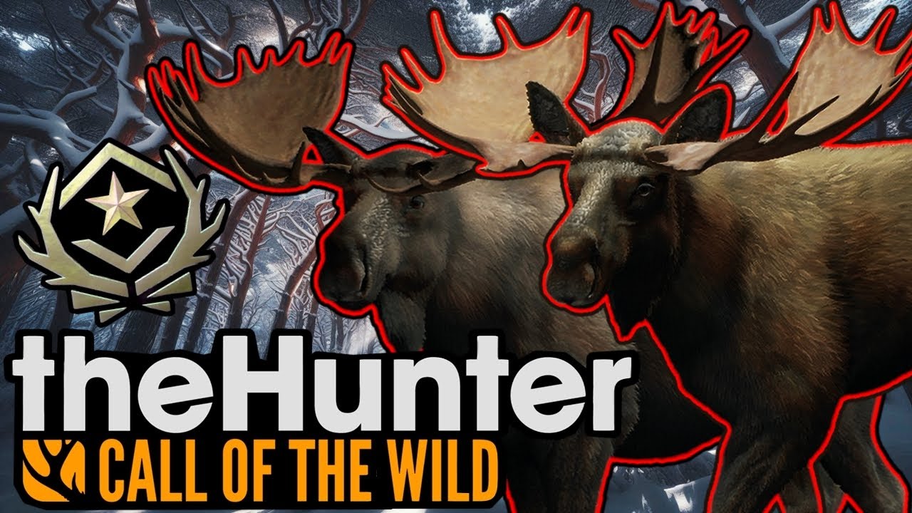 Herd Managing my Moose for a Great One! - theHunter Call of the Wild
