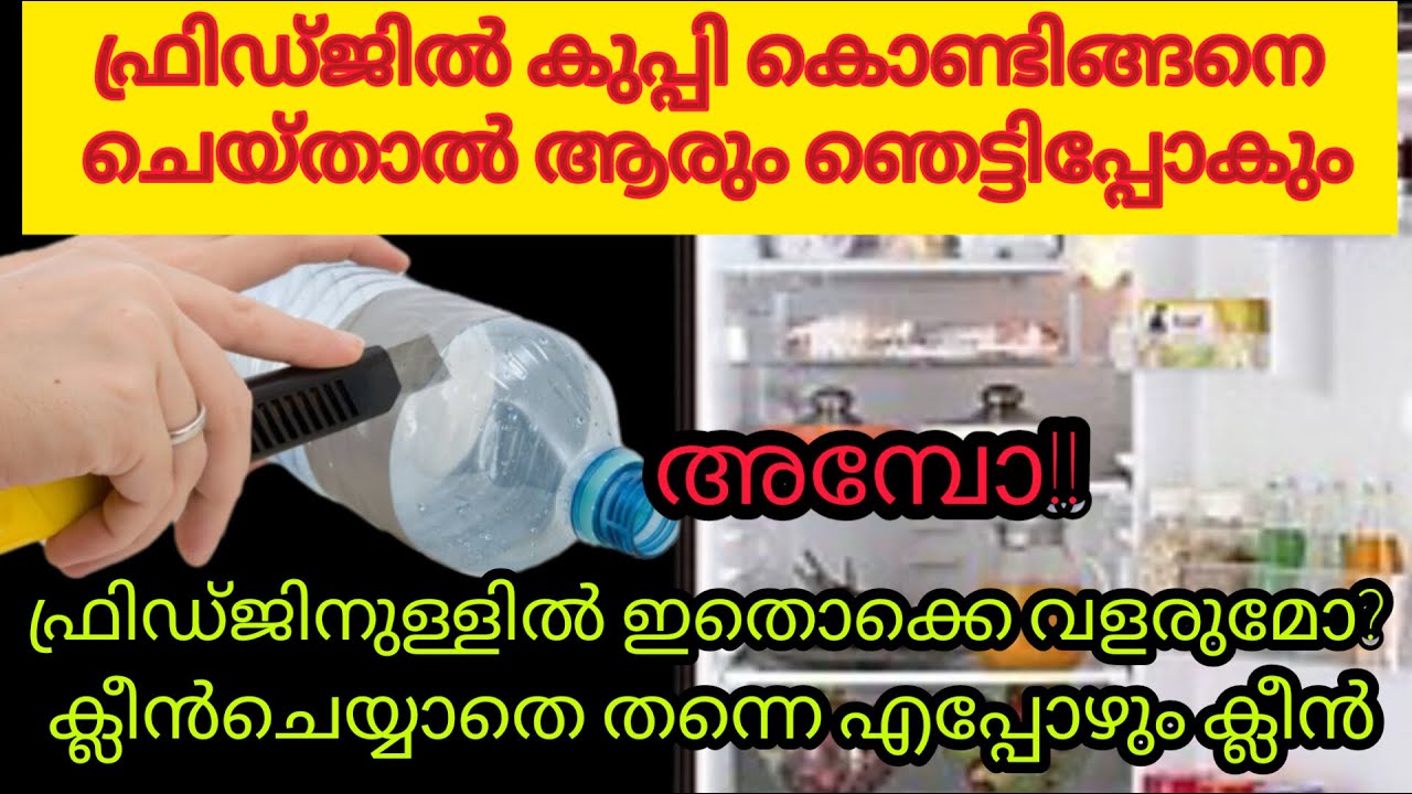 ഇത്രനാളും ഫ്രിഡ്ജ് ഉപയോഗിച്ചിട്ടും ഇതൊന്നും അറിഞ്ഞില്ലല്ലോ|kitchen tips