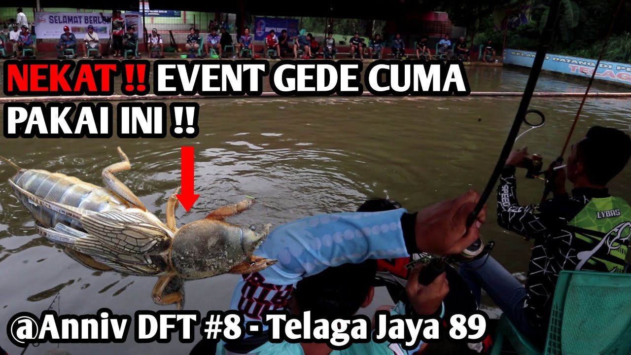 NEKAT !! CUMA PAKAI GAANG MURNI || BUAT LAWAN UMPAN FULL ESSEN !!