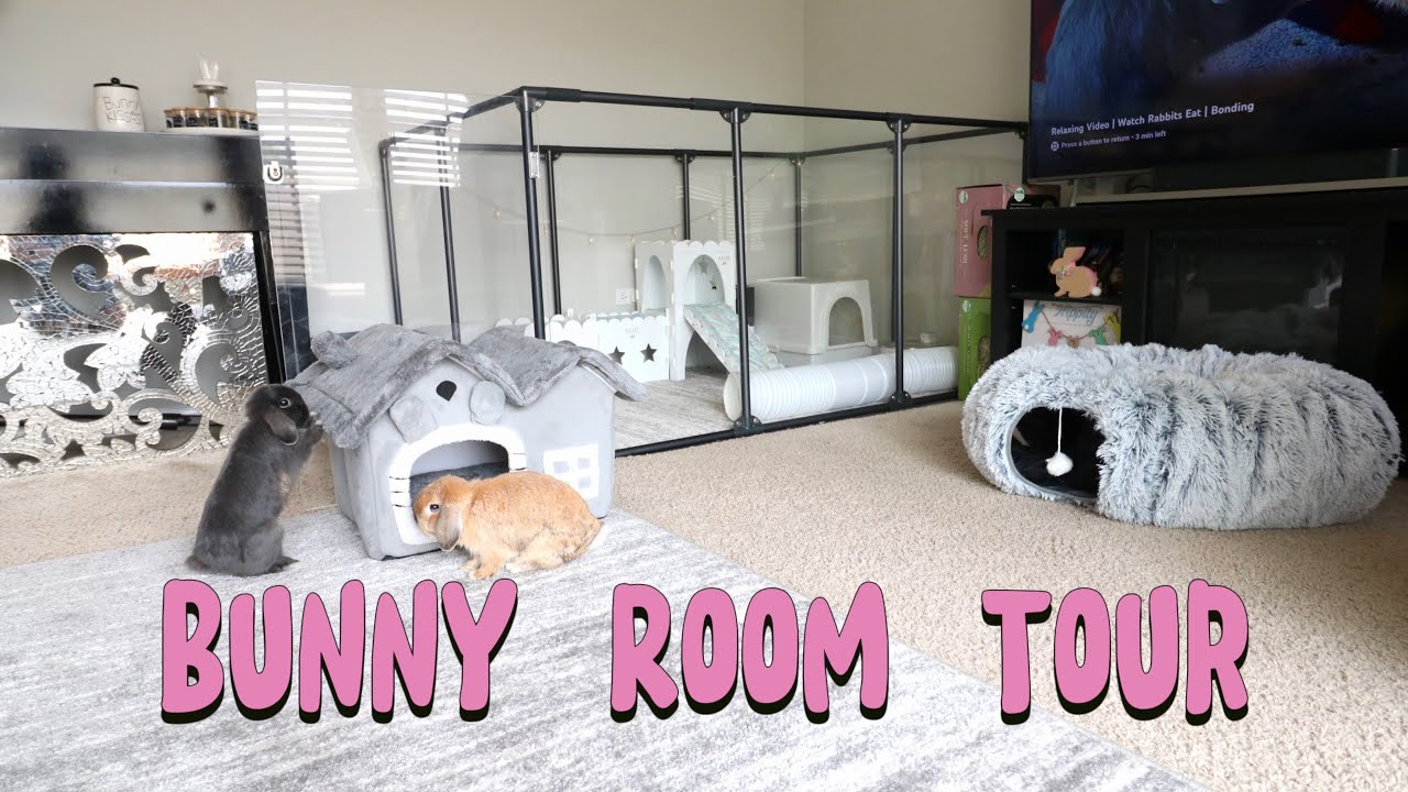 Загляните в мою сказочную комнату для кроликов! 🐰 Великолепная обстановка для кроликов в доме