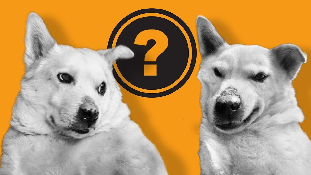 WE CLONED BENSON? - Open Haus #156