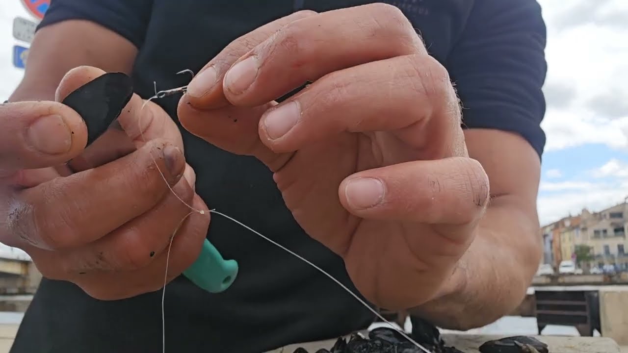 Pêche du bord de mer en Méditerranée, à la recherche de la dorade xxl