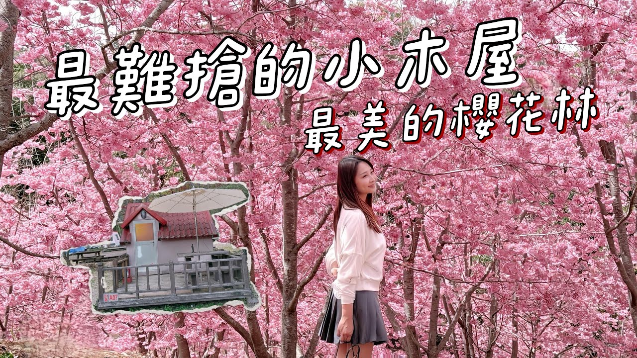 武陵農場櫻花季住小木屋｜營區介紹｜遇見超美櫻花林,No136