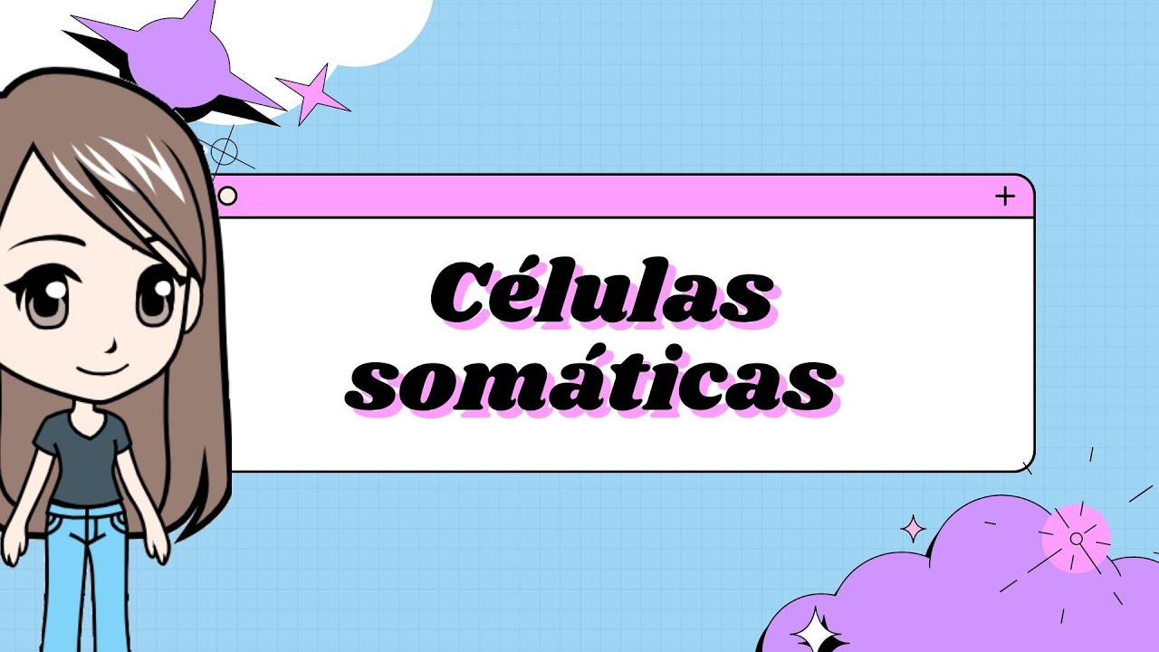 C&eacute;lulas som&aacute;ticas