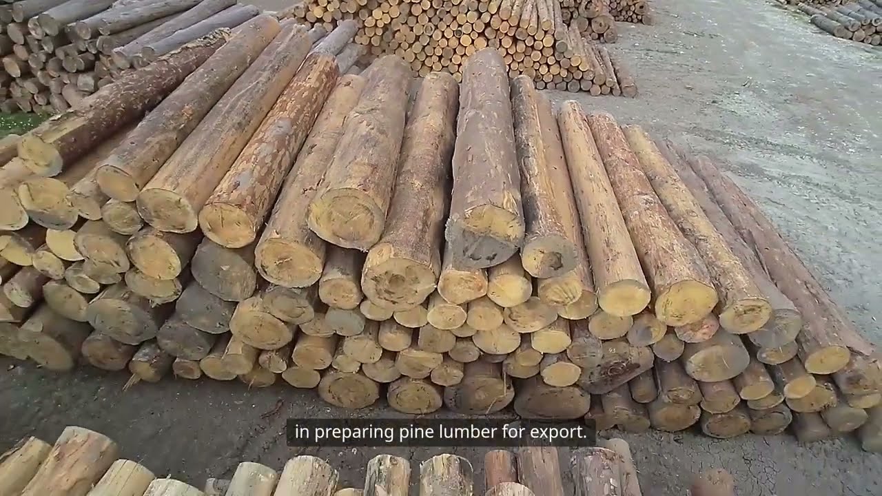 Vietnamese Pine Wood Export | CTC - Vietnam Export