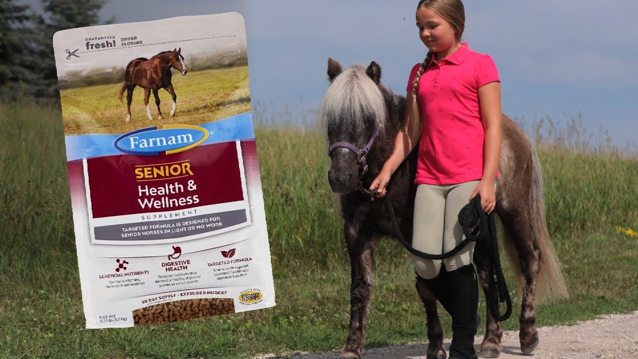 How To Choose Supplements for Your Senior Horse