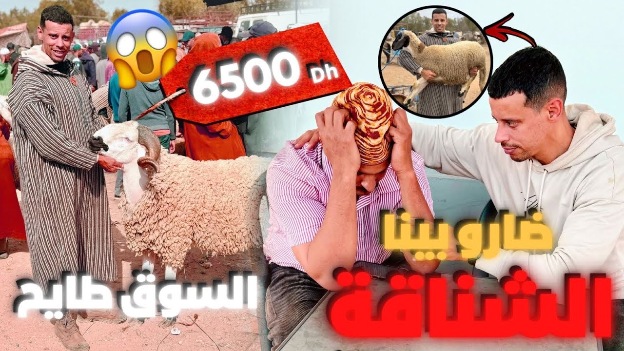 رشيد عصبوه في سوق كزولة الحولي مجود ثمن معقول