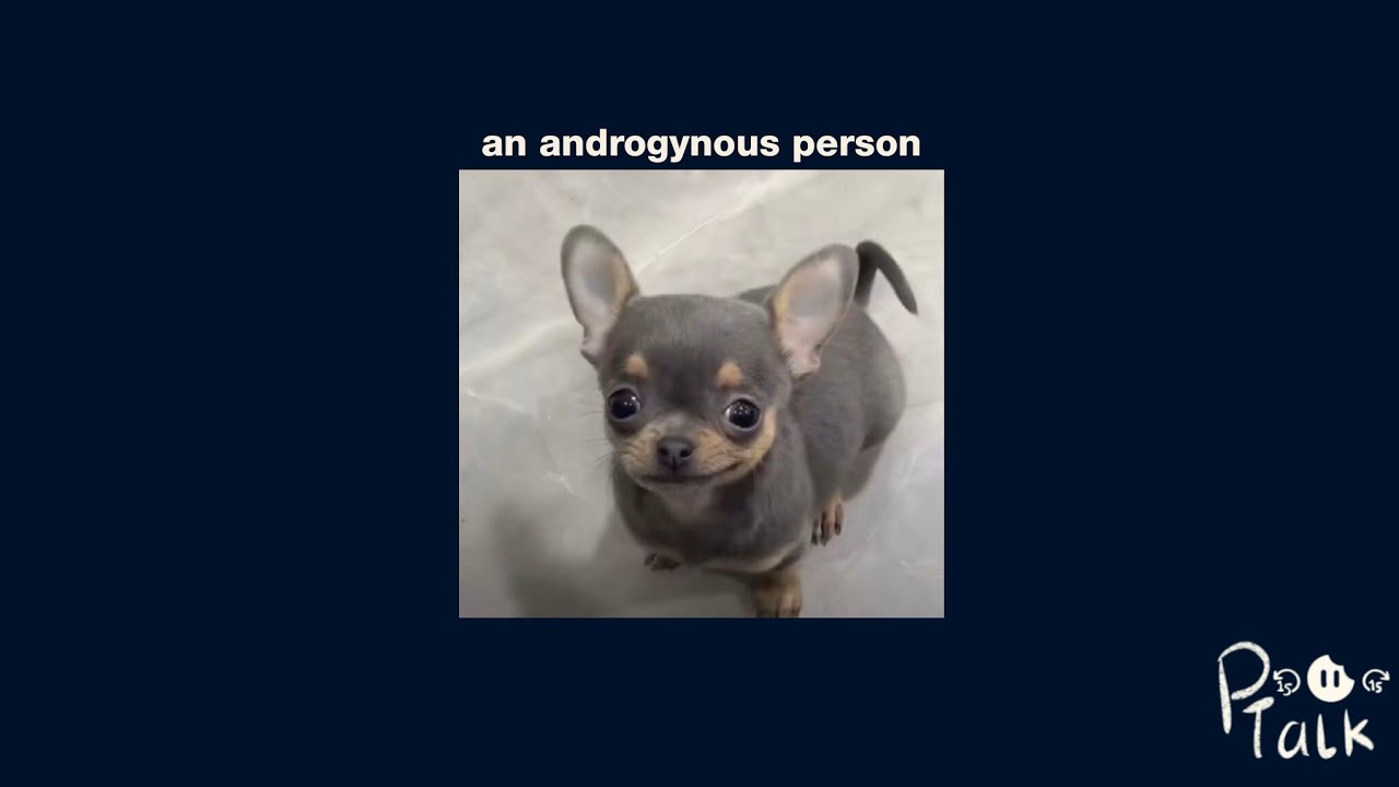 my experience as an androgynous person ☞ EP 3