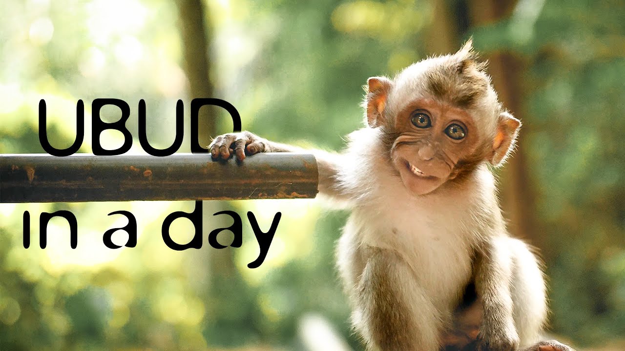 Ubud Bali Indonesia: Single Day Trip is Possible!
