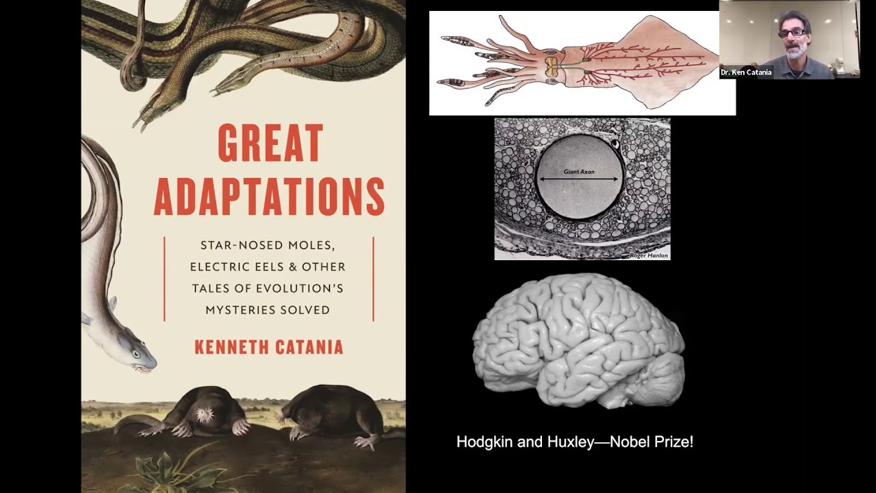 Nat Talk: Great Adaptations