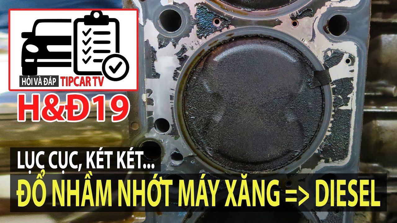 H&Đ19: Đổ nhầm nhớt xe xăng vào động cơ diesel có gì nguy hiểm? Gầm kêu lục cục là sao? | TIPCAR TV