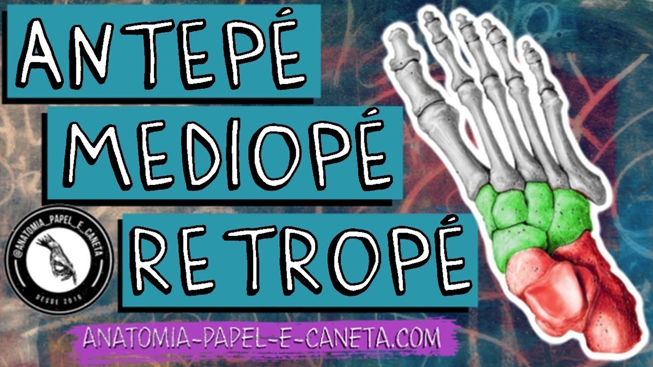 DIVISÕES DO PÉ - ANTEPÉ, MEDIOPÉ E RETROPÉ