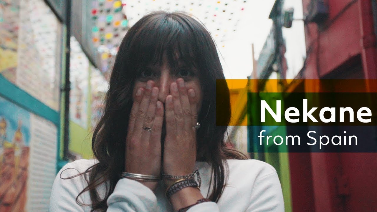 My 2 weeks&rsquo; Experience in DCU | Nekane From Spain